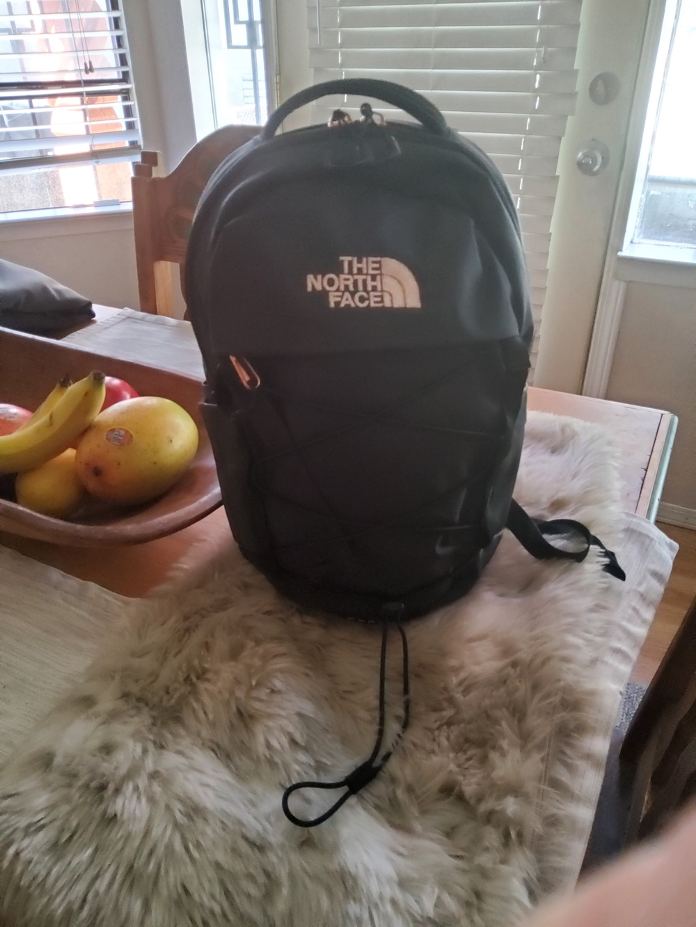 The North Face Mini Broealis Beyond EUC